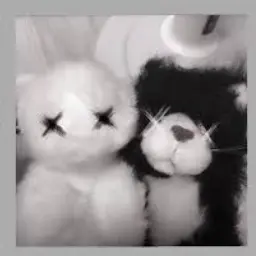 Profile image of ミク