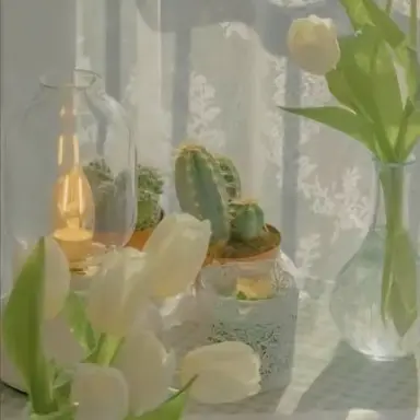 Profile image of 송지아