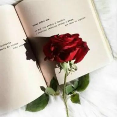 Profile image of 서라더