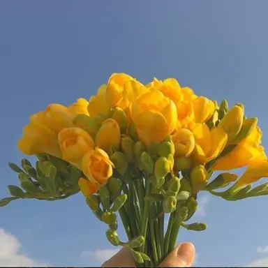 Profile image of 김각별