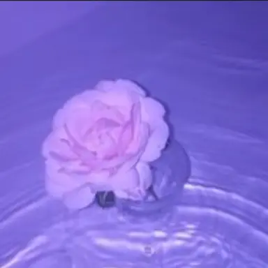 Profile image of 황수현