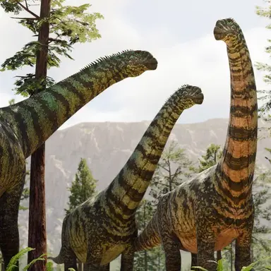 Profile image of 카마라사우루스