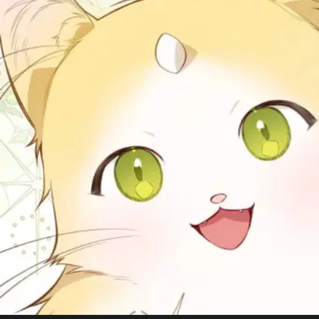 양이