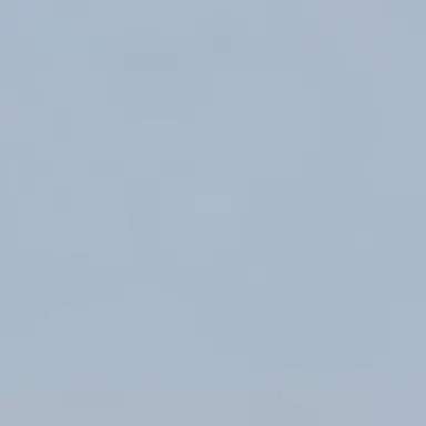 Profile image of 최립우