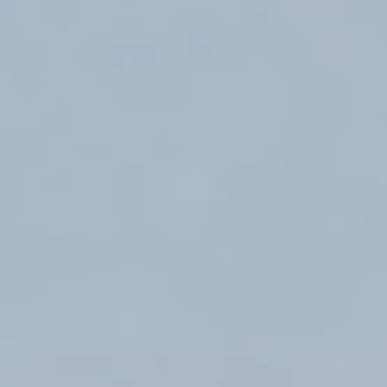 YoungHawk0555의 최립우