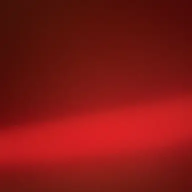 Profile image of 쿠발트르