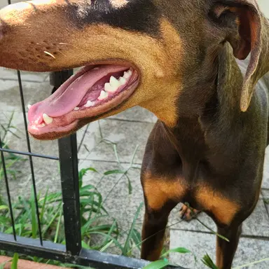 Profile image of 우찬