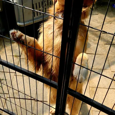 Profile image of 애니