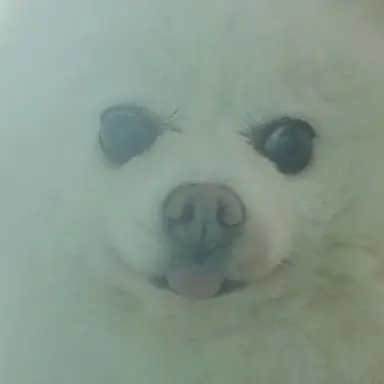 Profile image of 프랑스