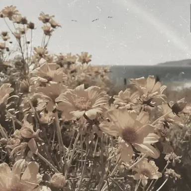 Profile image of 준브레드