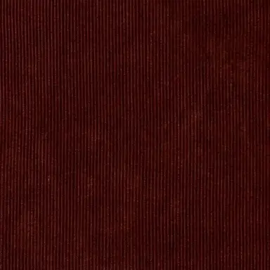 Profile image of 舜太