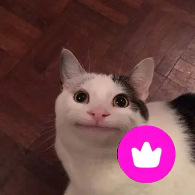 Profile image of 벨루투스