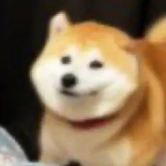 Profile image of 히스클리프