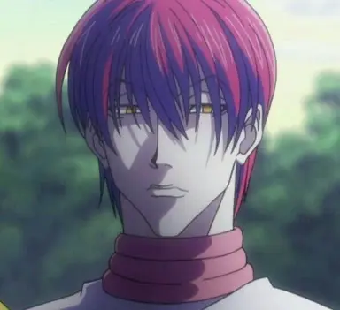 Profile image of ヒソカ