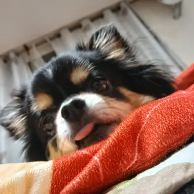 Profile image of 유저