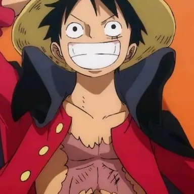 Profile image of ルフィ
