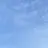 최시온