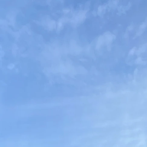 최시온