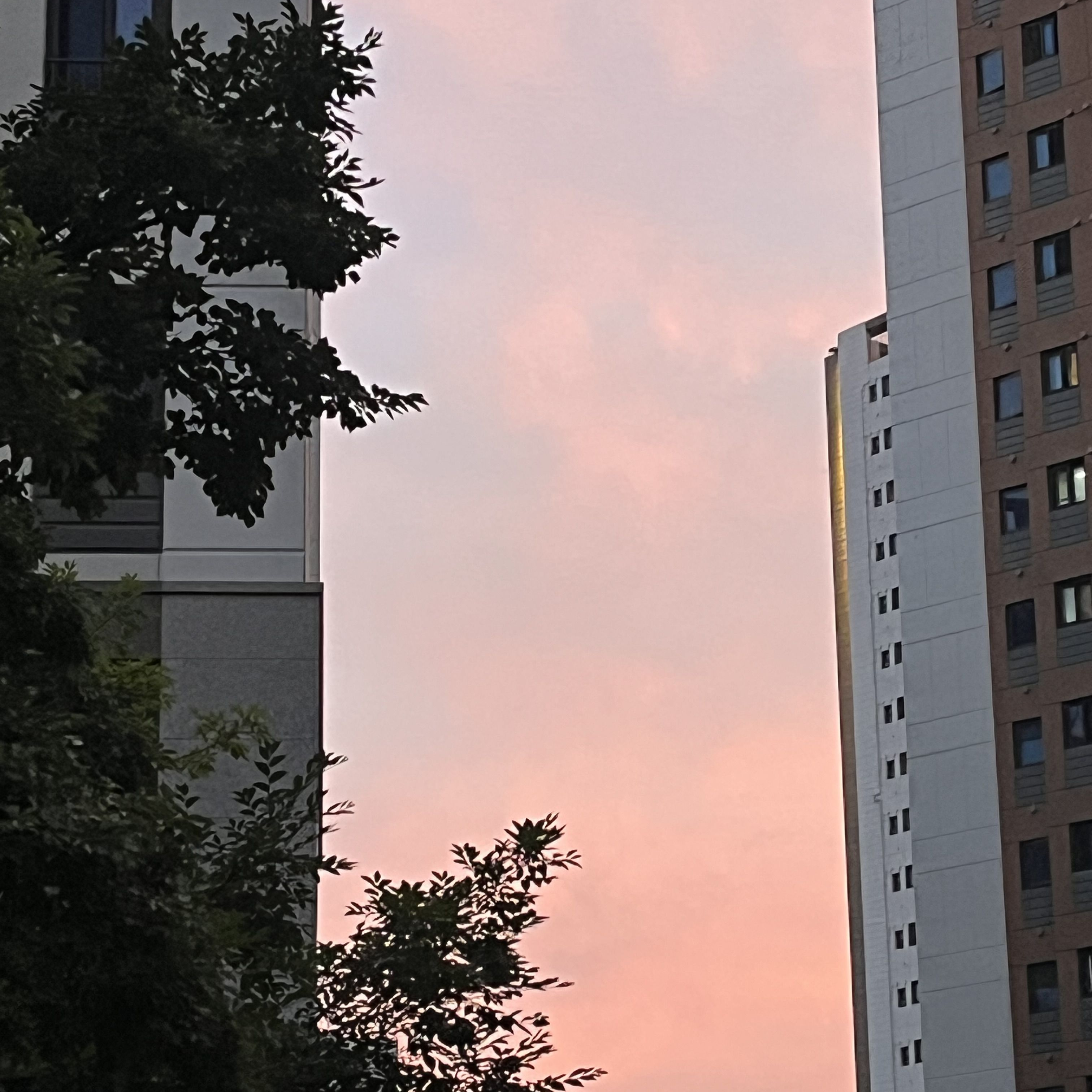 엄청난집착얀데레게이스틱맨이랑거 대표 이미지
