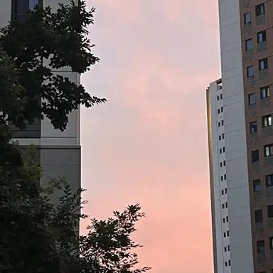 Profile image of 레카