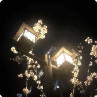 Profile image of 코마