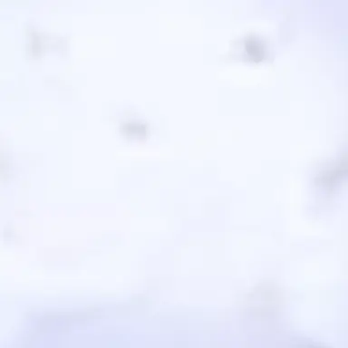 Profile image of セリナ