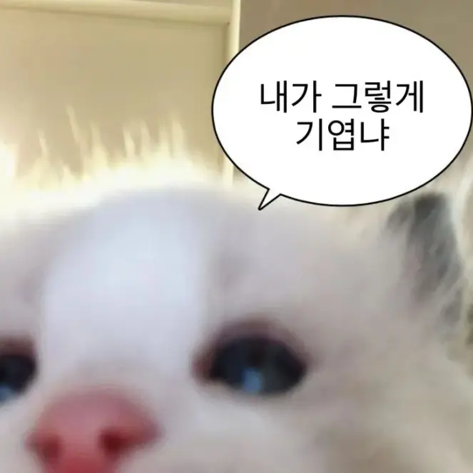 GroggyPoem4543의 김시윤