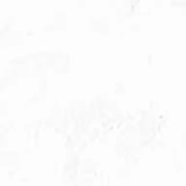 Profile image of 坂田銀時