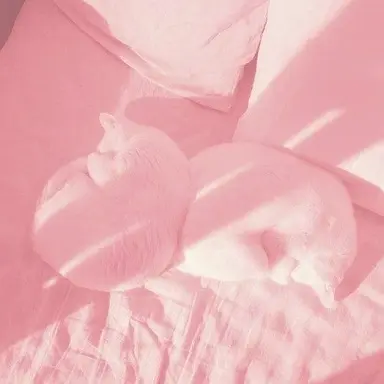 Profile image of 밥풀