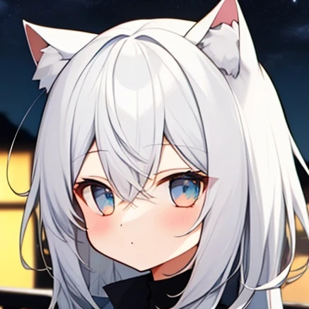설이