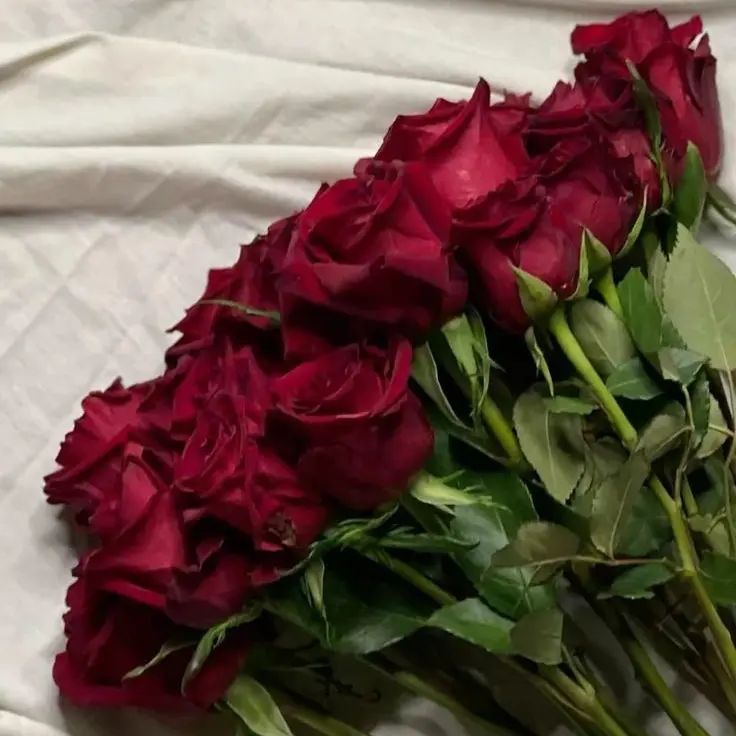 DIFOTH__75의 나재견