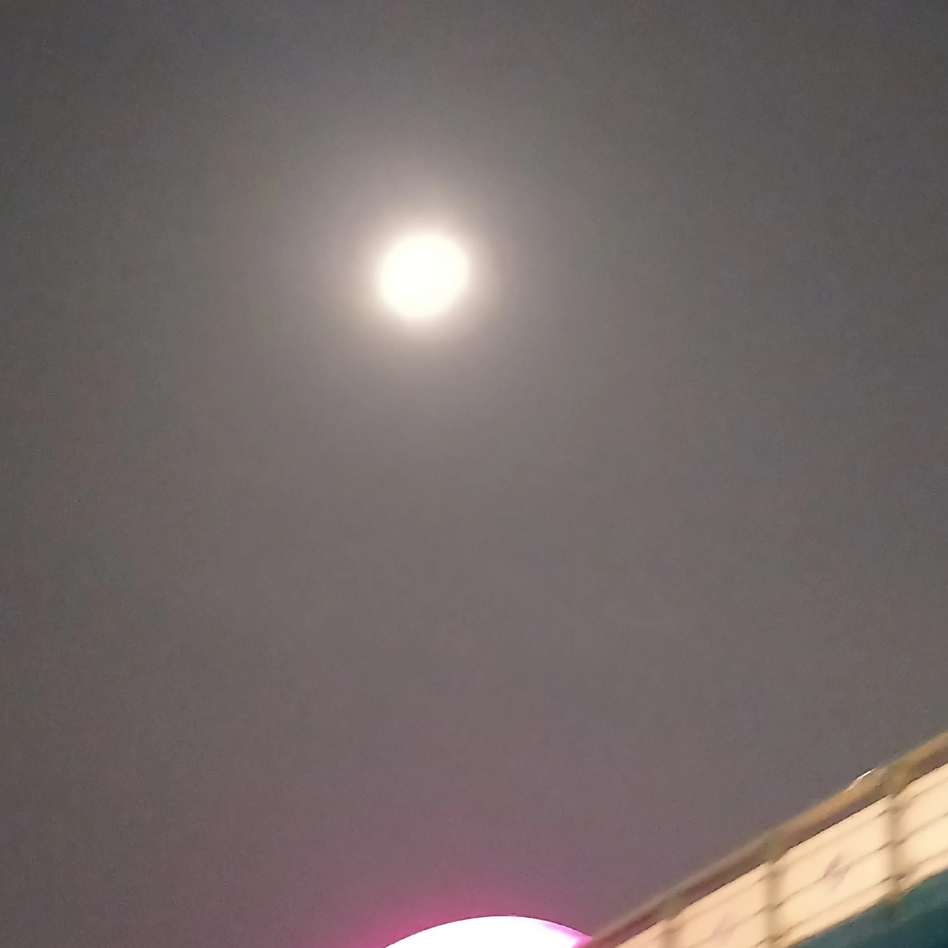 타코
