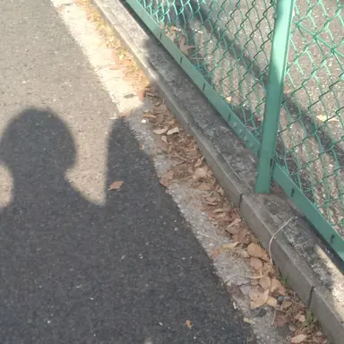 Profile image of 大森元貴