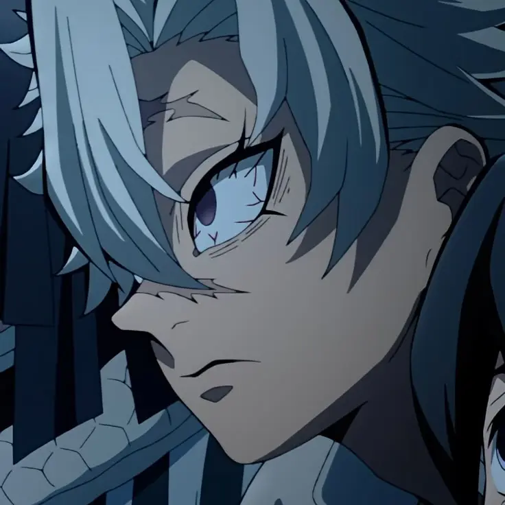 Ry_0의 시나즈가와 사네미