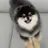몰리