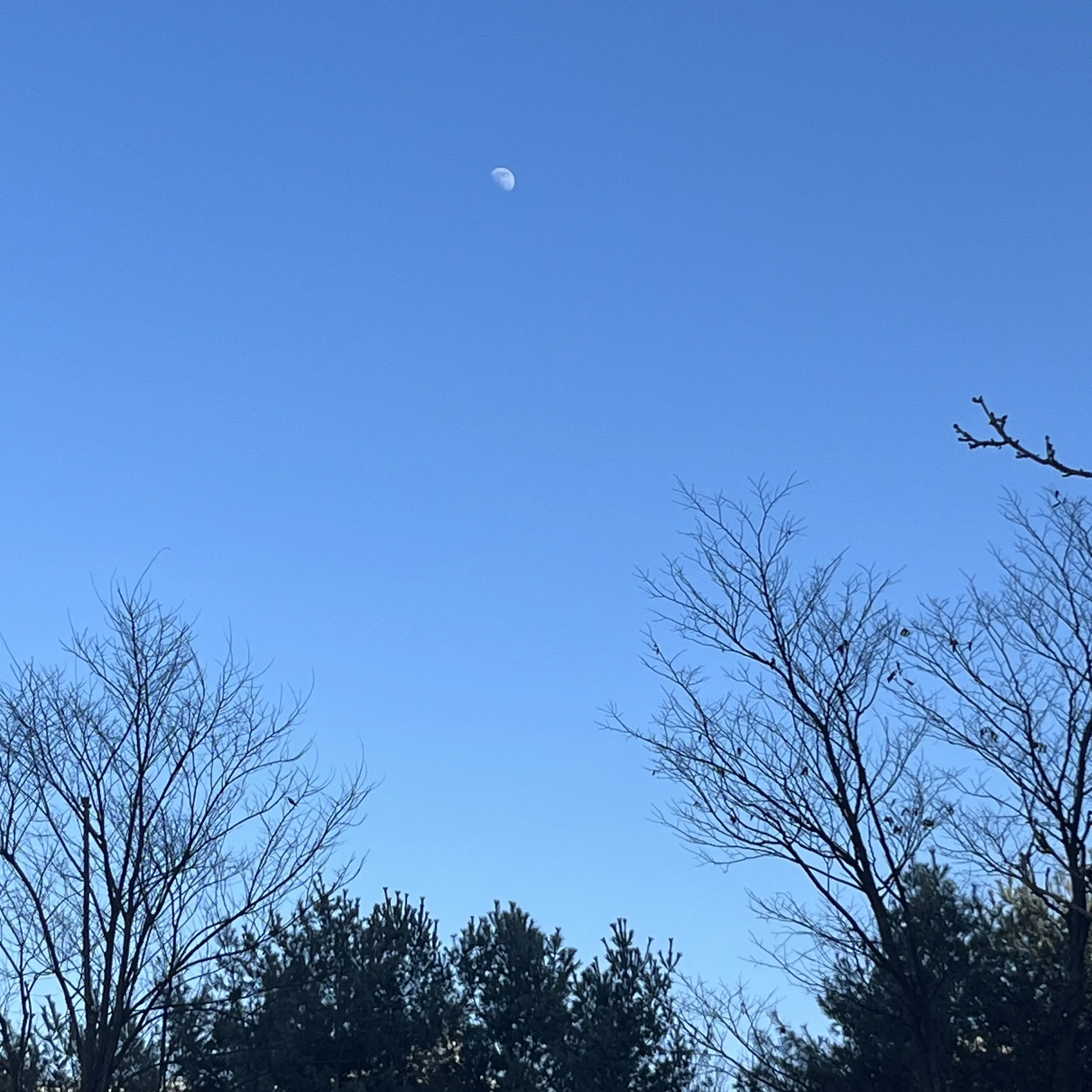 BreezyScrew5013의 이용복