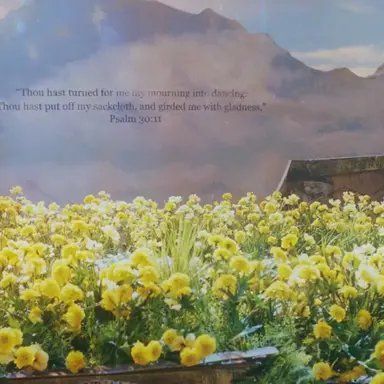 Profile image of 동영배