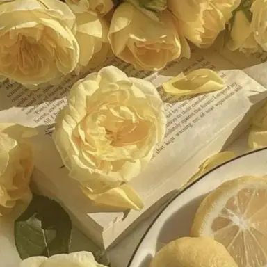 Profile image of 각별