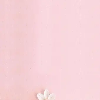 Profile image of 루아티샤 파에라톤