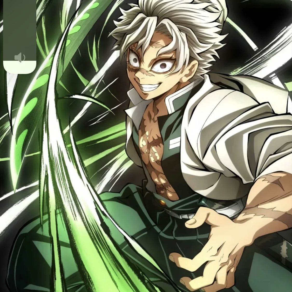 시네즈가와 사네미