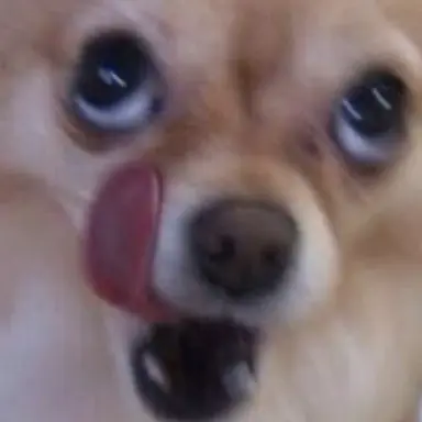 Profile image of 대원 2