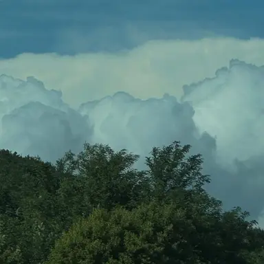 Profile image of 박아란