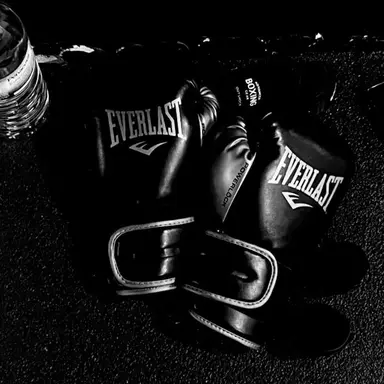 Profile image of ㅇㅈㅅ