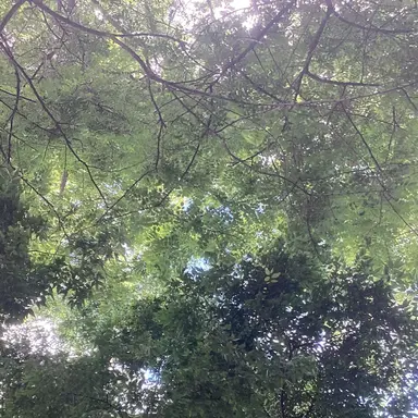 Profile image of ハイキュー