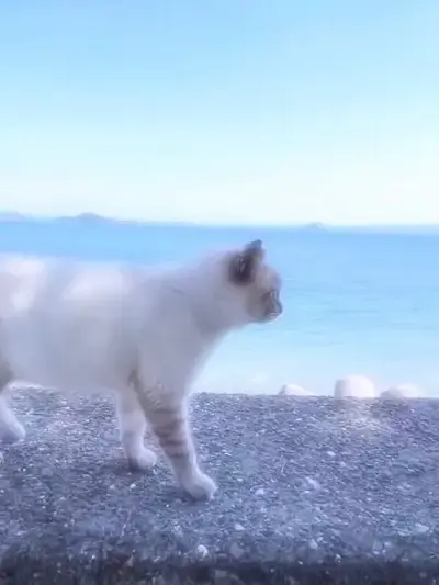 Zetazetazetazeta...의 シェアハウス