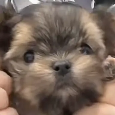 Profile image of 모여봐요 유튭 친구