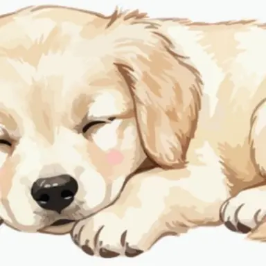 Profile image of 초코