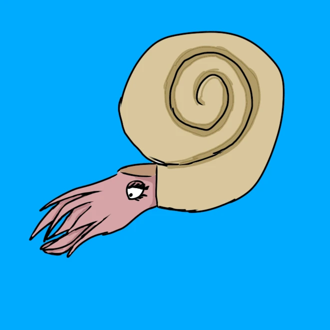 メコ