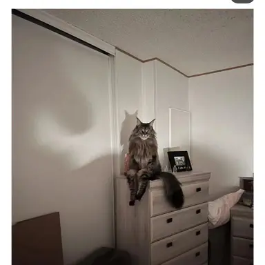 Profile image of 곽재현