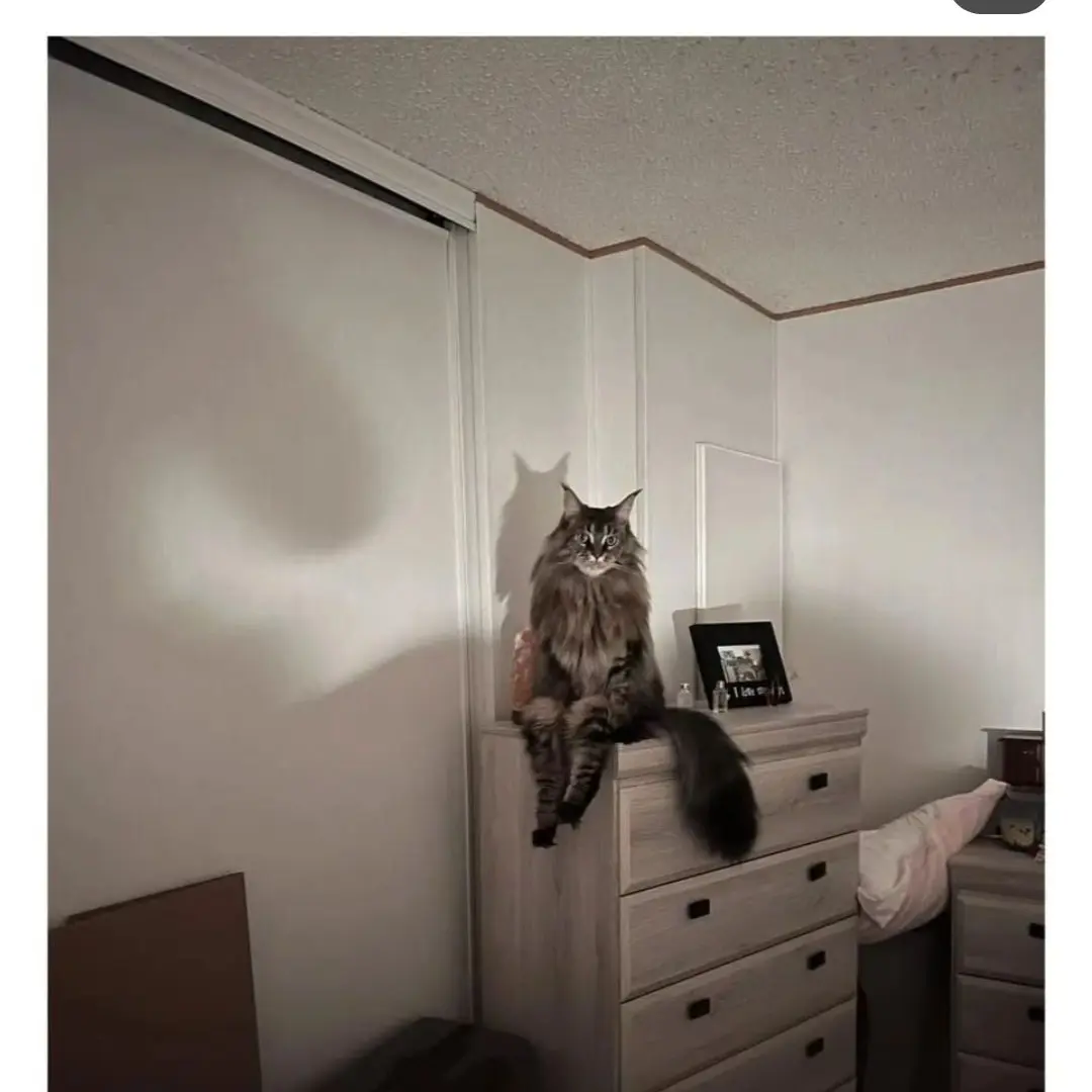 PureReel1119의 개인용